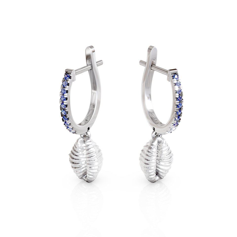 cowrie shell hoop earrings