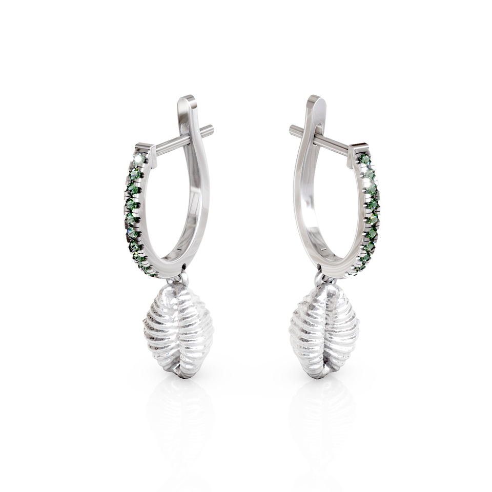 cowrie shell hoop earrings