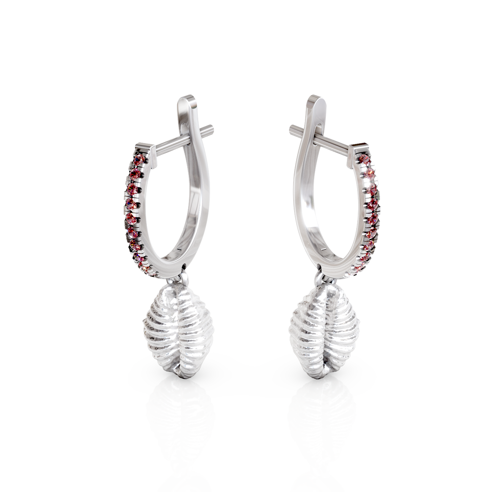cowrie shell hoop earrings