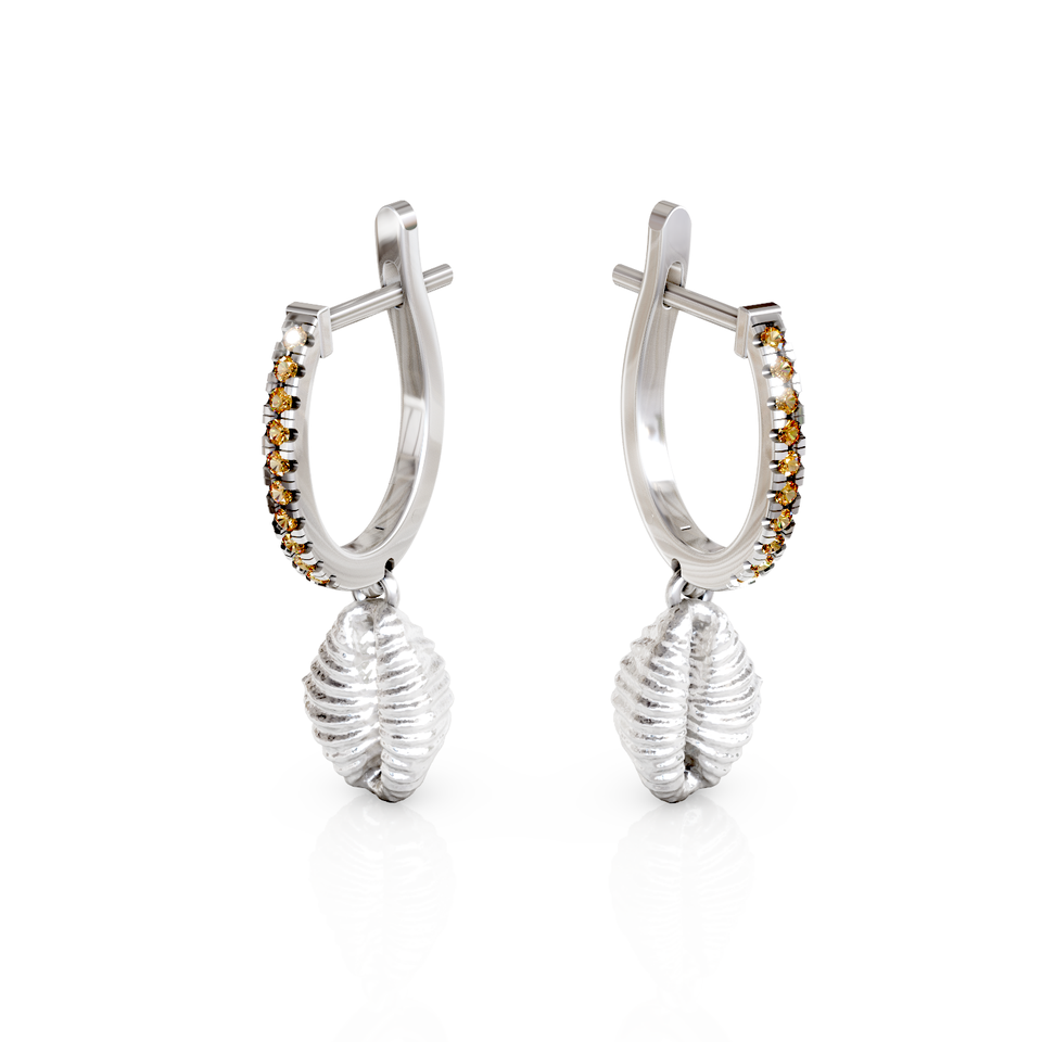 cowrie shell hoop earrings