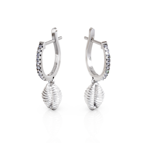 cowrie shell hoop earrings