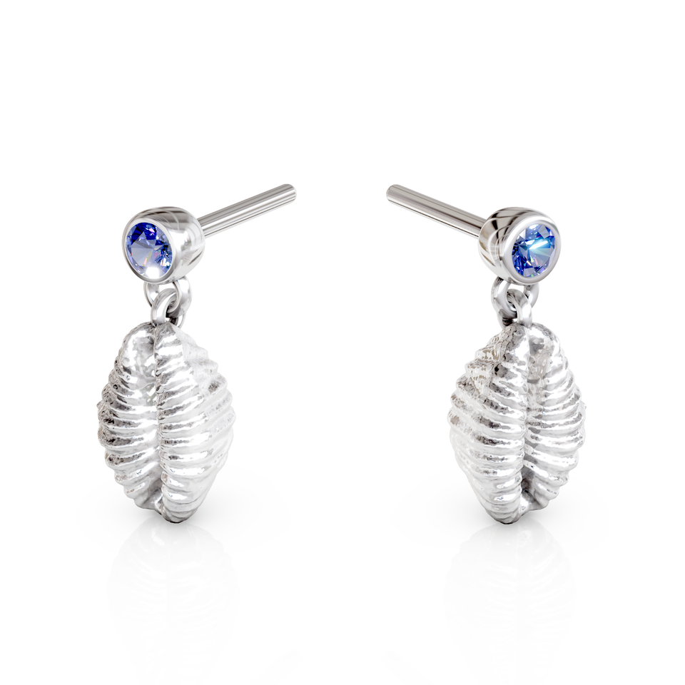 cowrie shell stud earrings