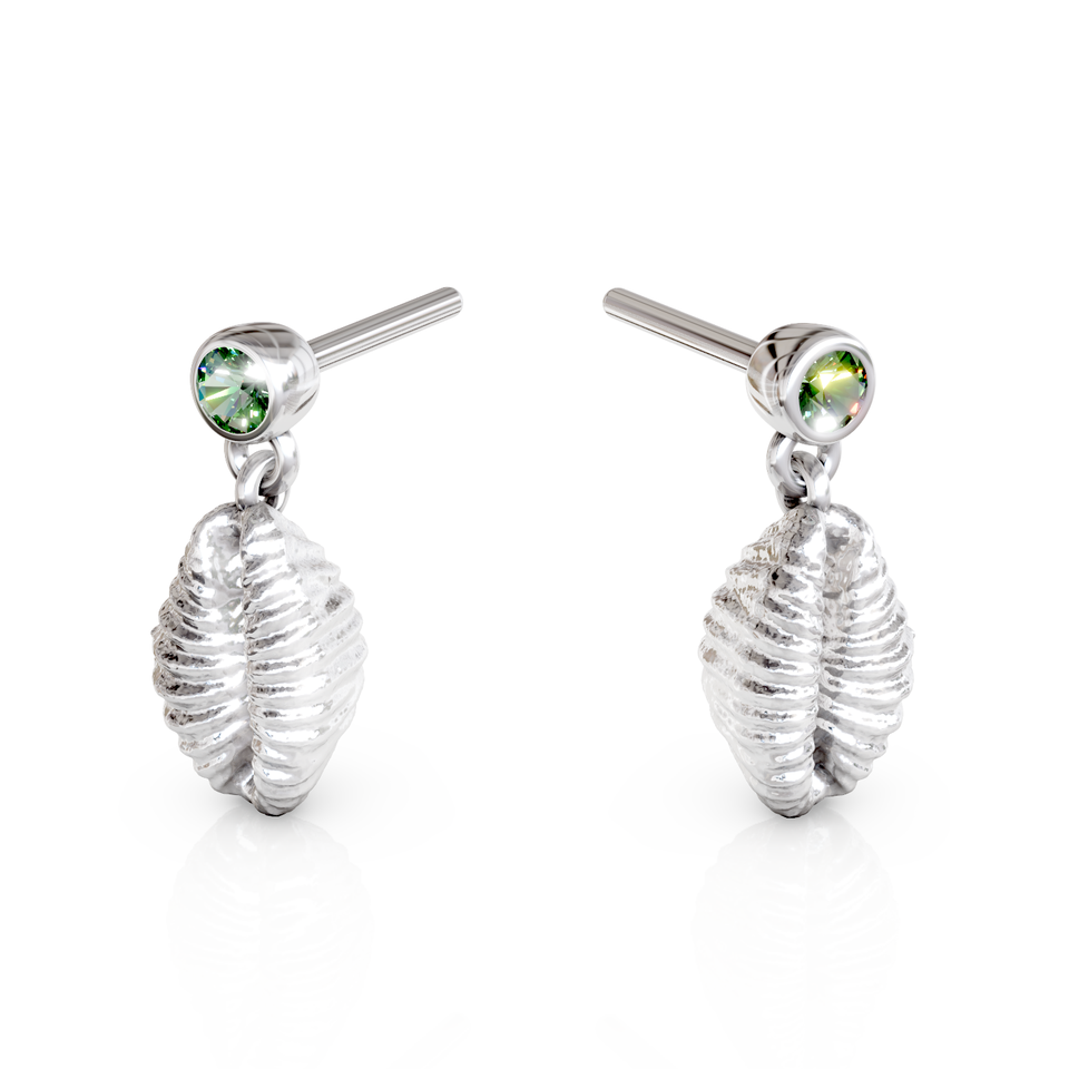 cowrie shell stud earrings