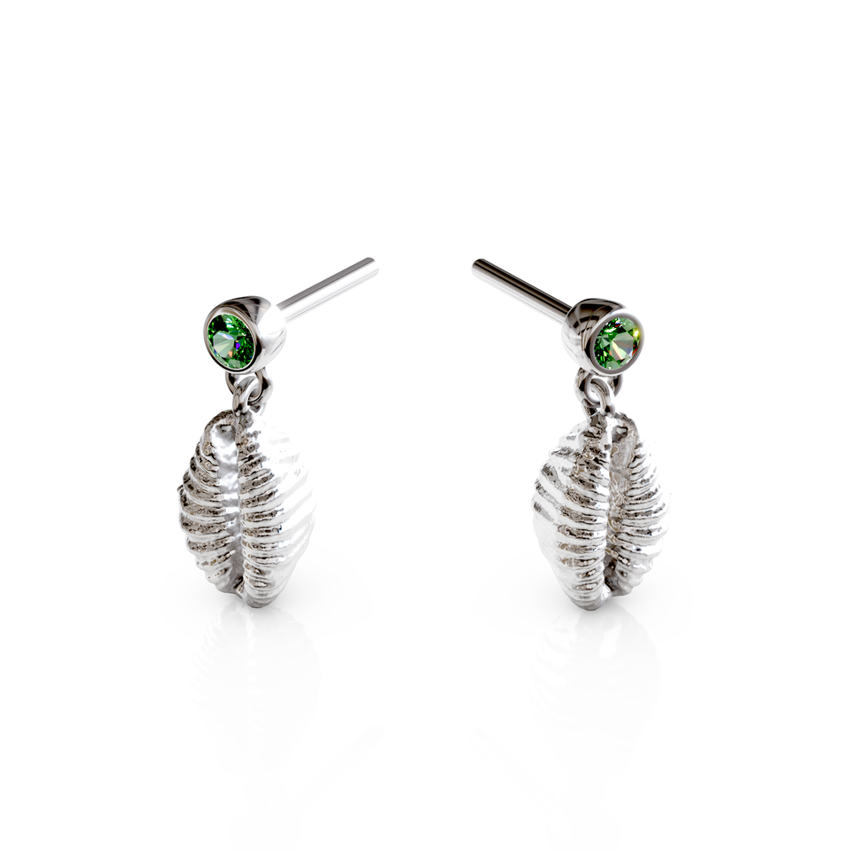 cowrie shell stud earrings