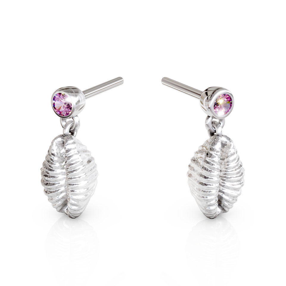 cowrie shell stud earrings