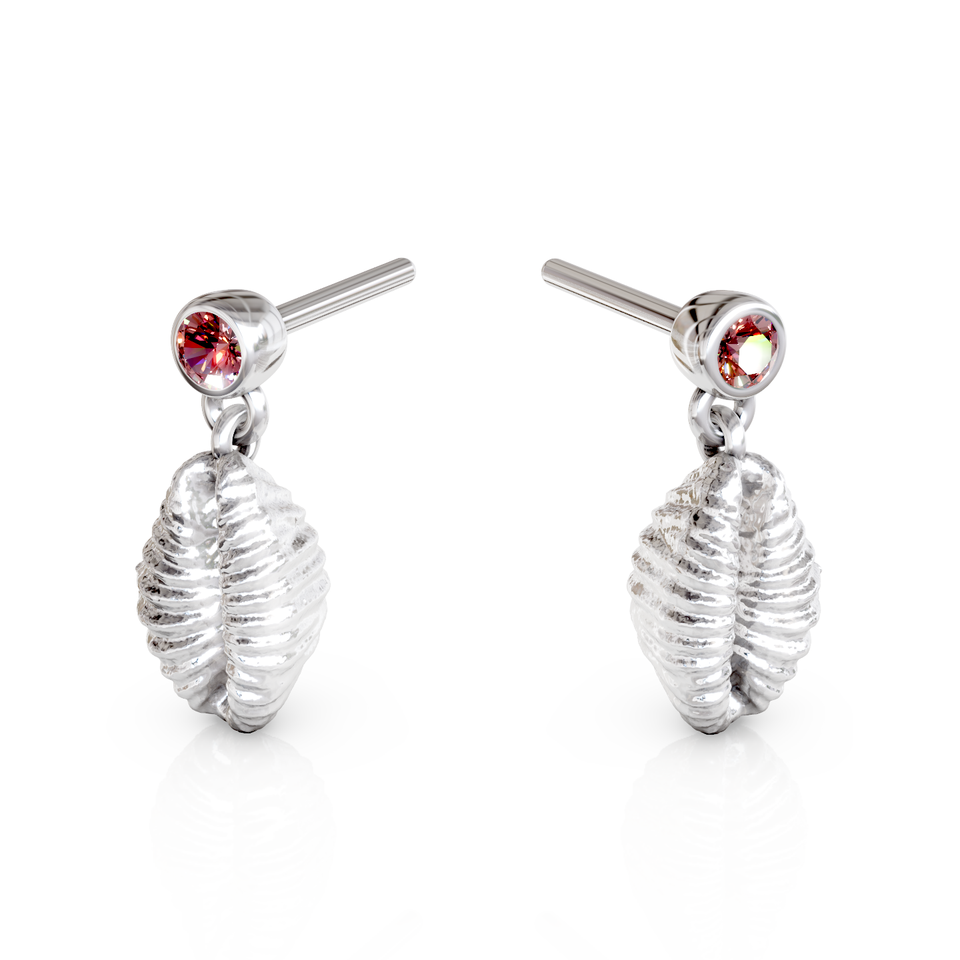 cowrie shell stud earrings