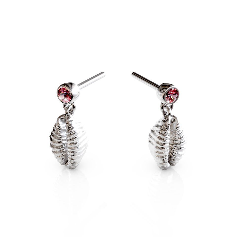 cowrie shell stud earrings