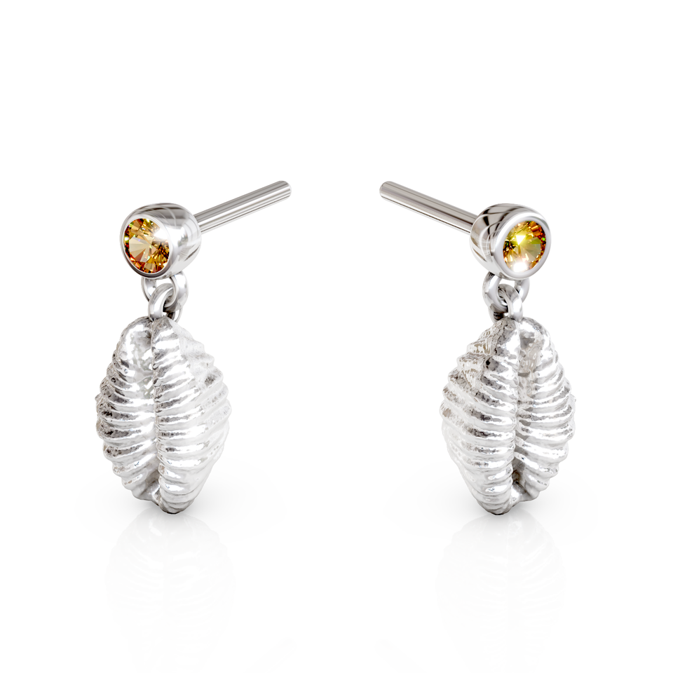 cowrie shell stud earrings