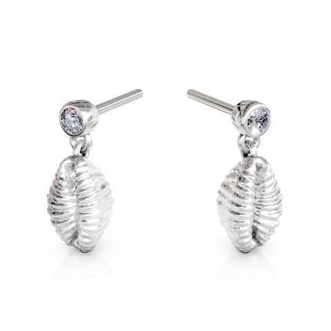 cowrie shell stud earrings