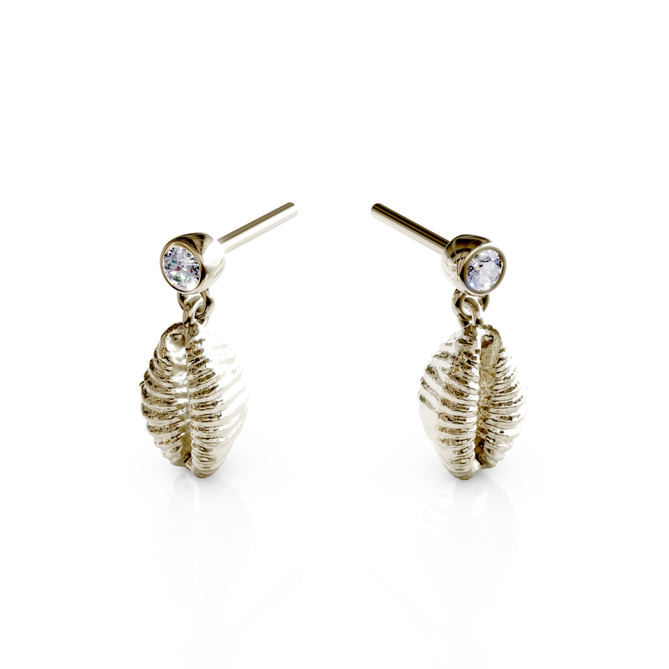 cowrie shell stud earrings